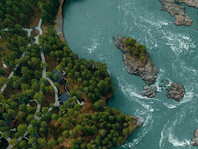 Хвоя в горах