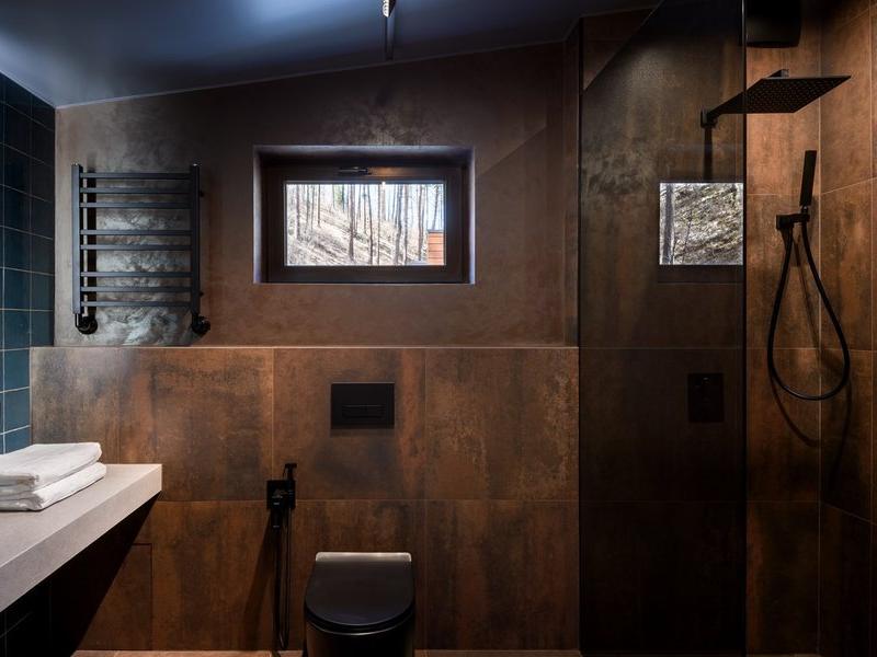 Хвоя в горах