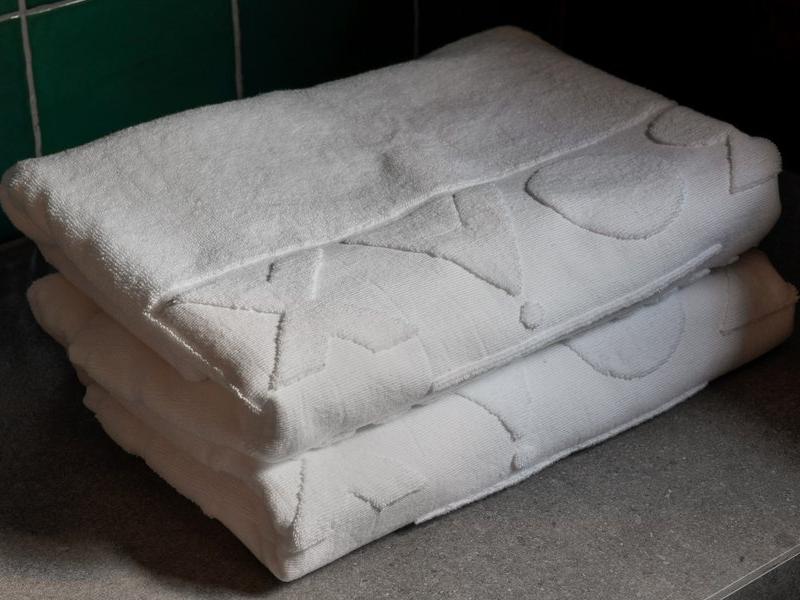 Хвоя в горах