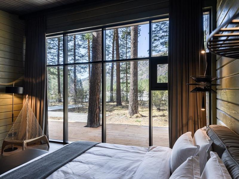 Хвоя в горах