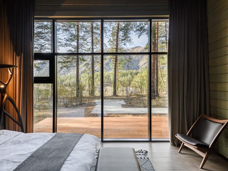 Хвоя в горах