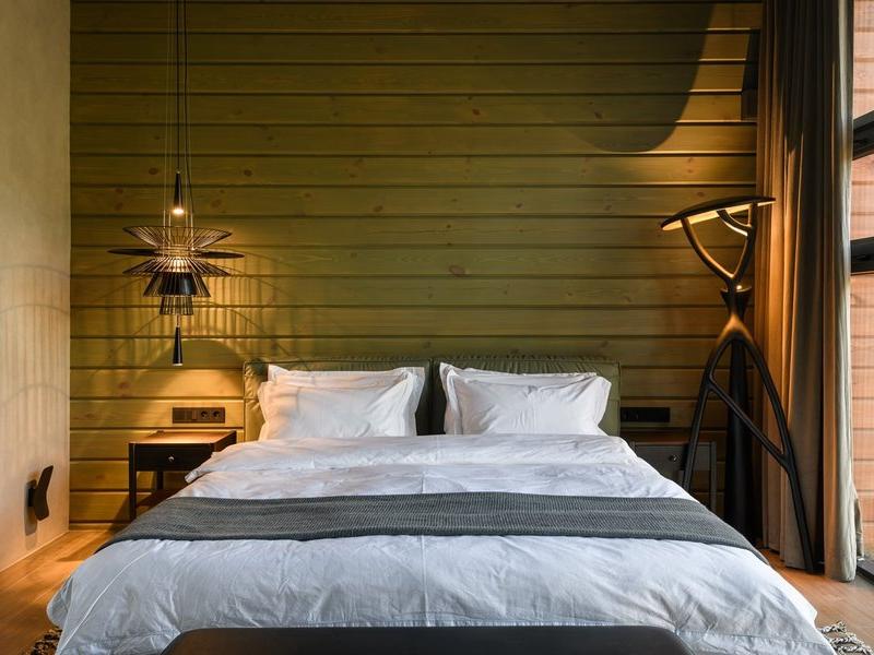 Хвоя в горах