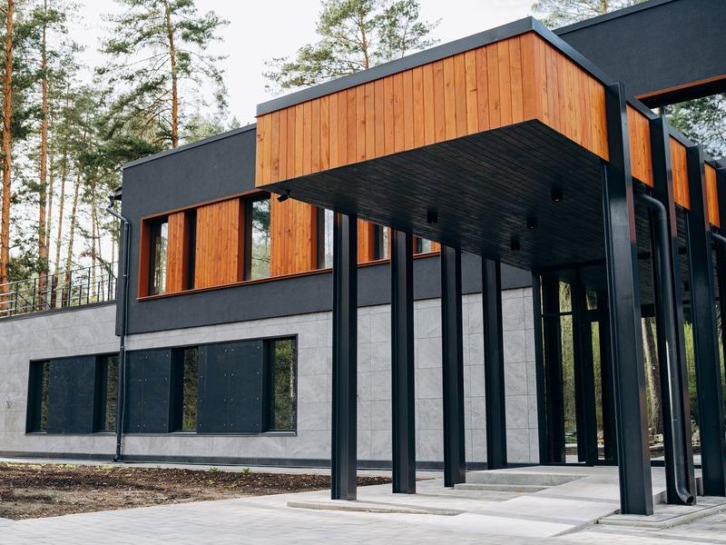 Хвоя в горах