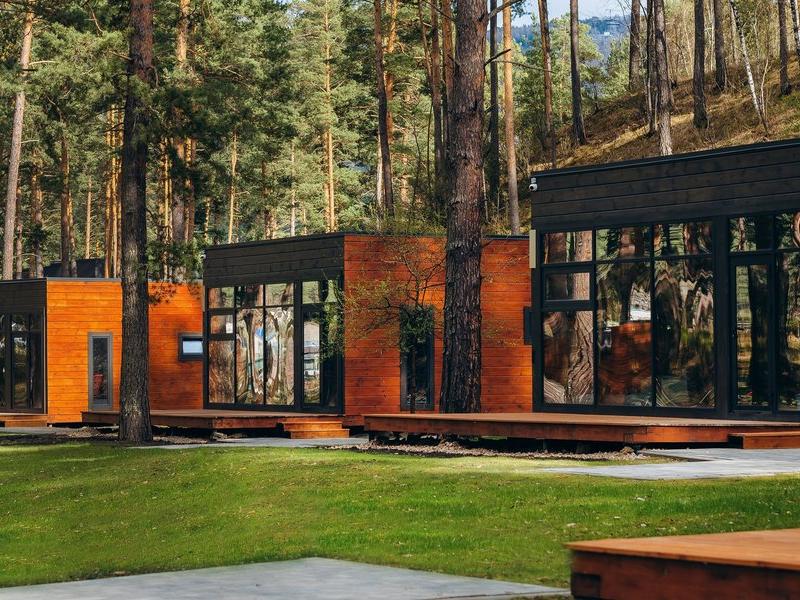 Хвоя в горах