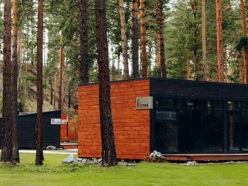 Хвоя в горах