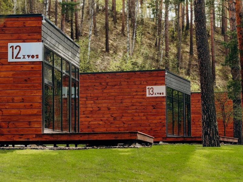 Хвоя в горах