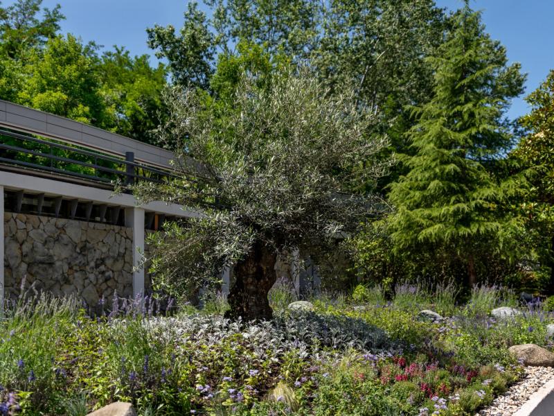 Пансионат Сокол (ул. Первомайская)