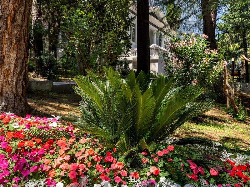 Пансионат Сокол (ул. Первомайская)