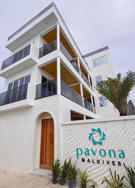 Pavona Maldives