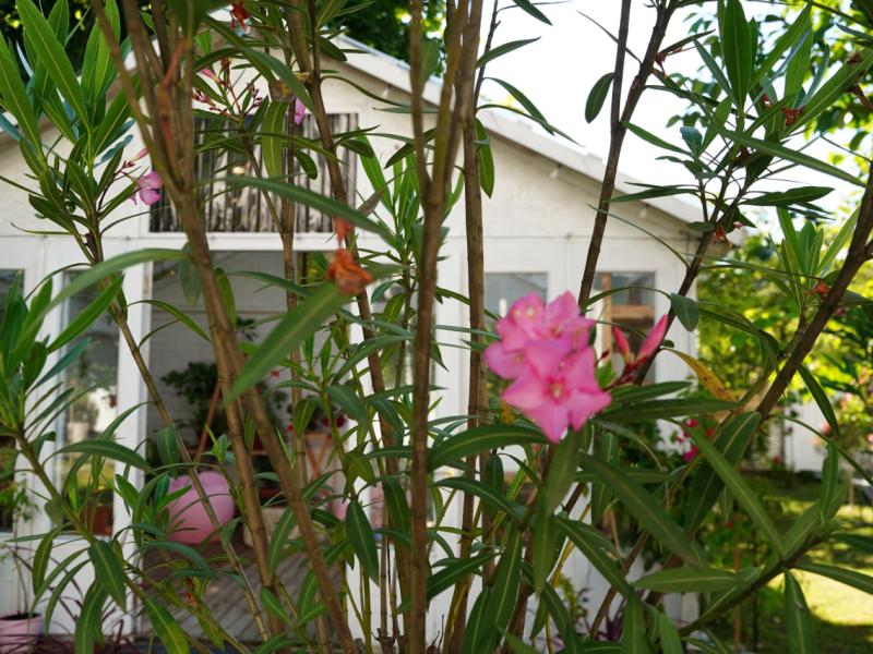 Fazenda-Glamping Hotel