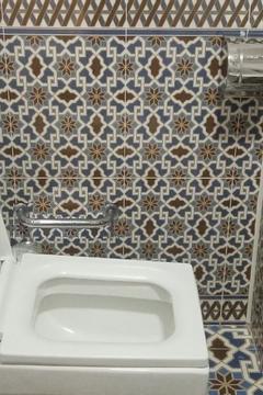 Отель Hotel Ansi Boutique W&S terrace Узбекистан, Бухара, фото 38