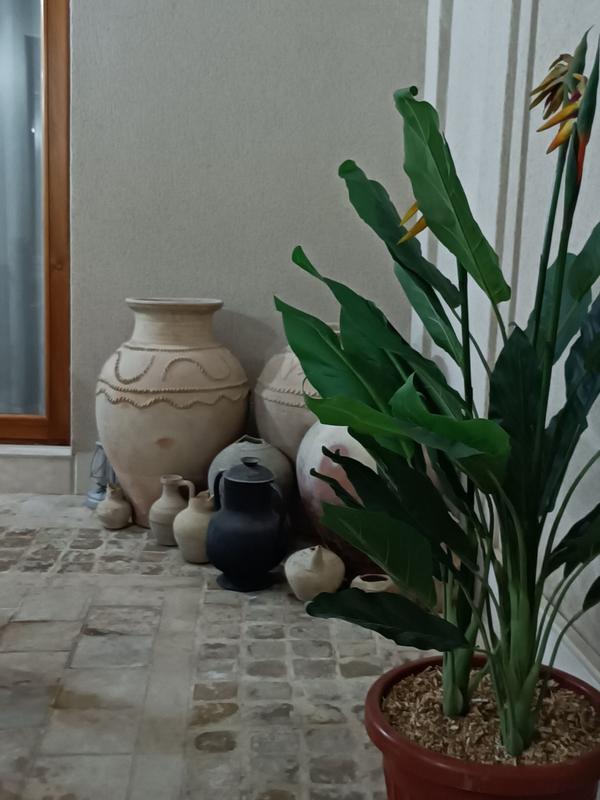 Hotel Ansi Boutique W&S terrace
