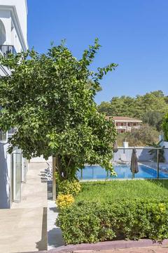 Отель Forest Park Hotel Турция, Кемер, фото 11