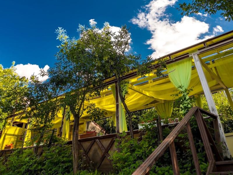 Foresta Festival Park