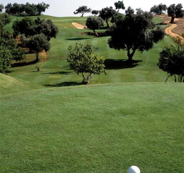 Grand Muthu Forte Da Oura