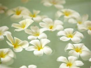 Отель Frangipani Tree Шри-Ланка, Талпе, фото 6