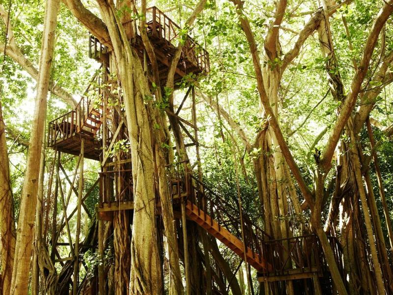 Fregate Island Private