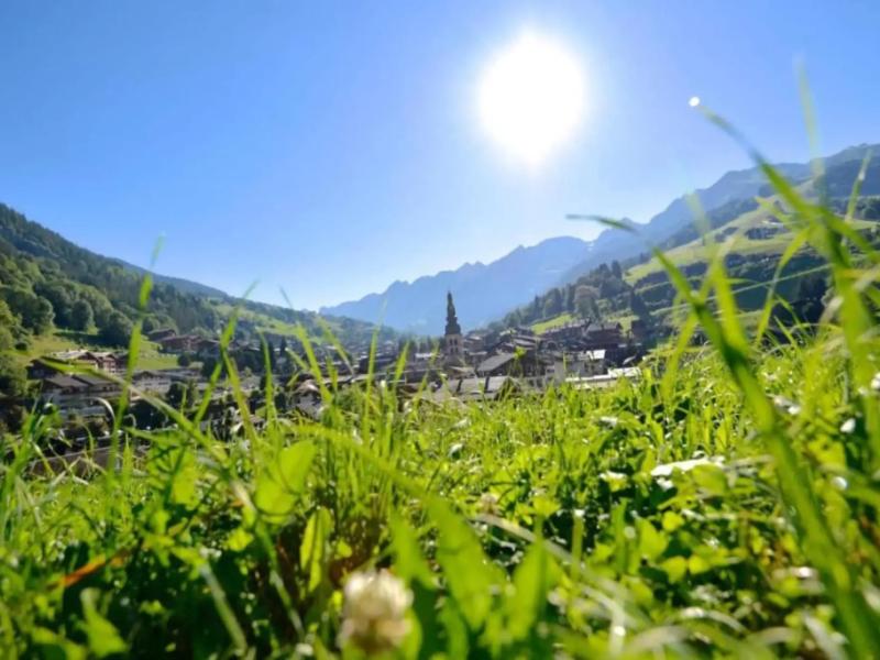 Alpen Roc