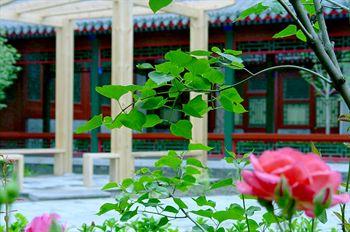 Отель Garden View YWCA Hong Kong Китай, Гонконг, фото 2