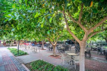 Отель Gardenia Beach Турция, Окурджалар, фото 17