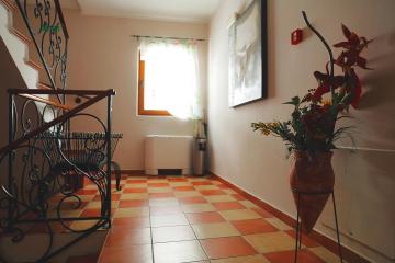 Отель Garni Hotel Meduza Черногория, Рафаиловичи, фото 8