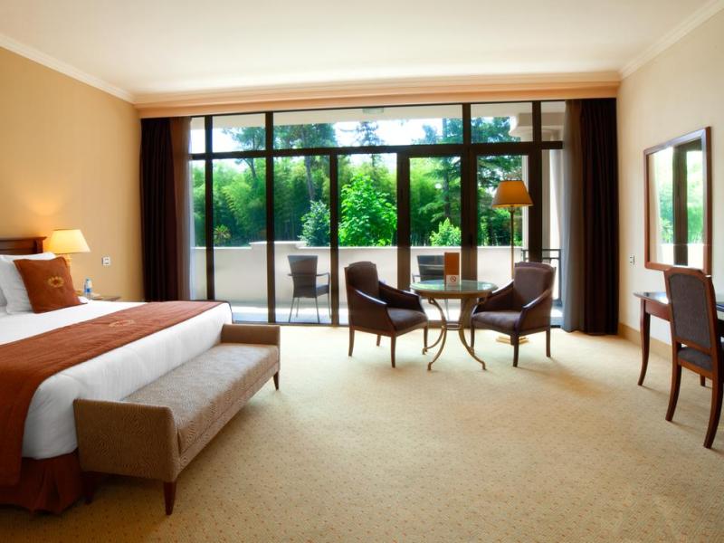 Georgia Palace Hotel & Spa