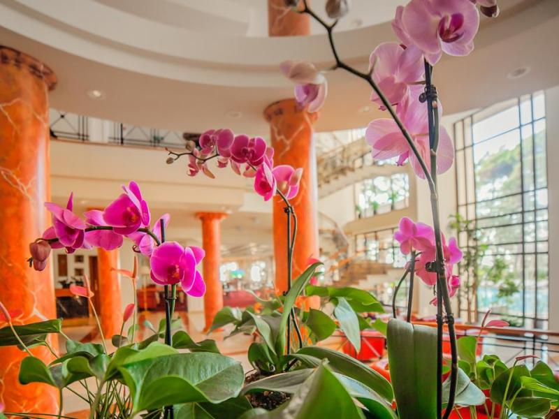 Georgia Palace Hotel & Spa