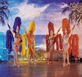 Golden Crown Paradise