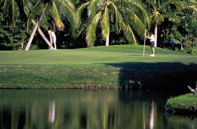 Golden Crown Paradise