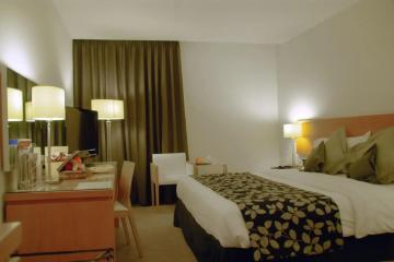 Отель Amman Airport Hotel Иордания, Амман, фото 4