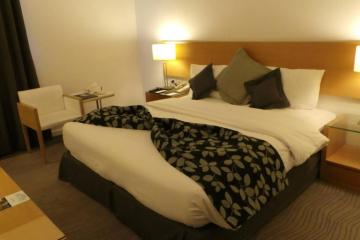 Отель Amman Airport Hotel Иордания, Амман, фото 6