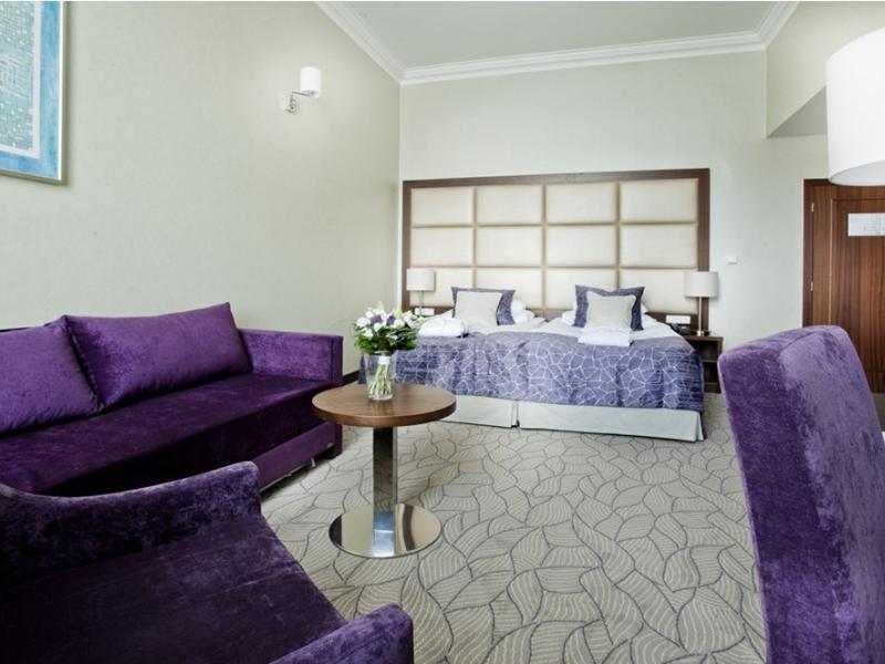 Hotel King David Prague