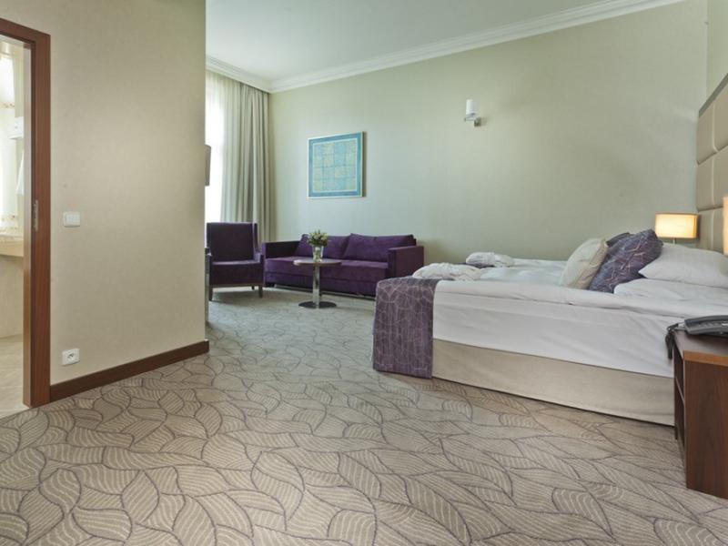 Hotel King David Prague