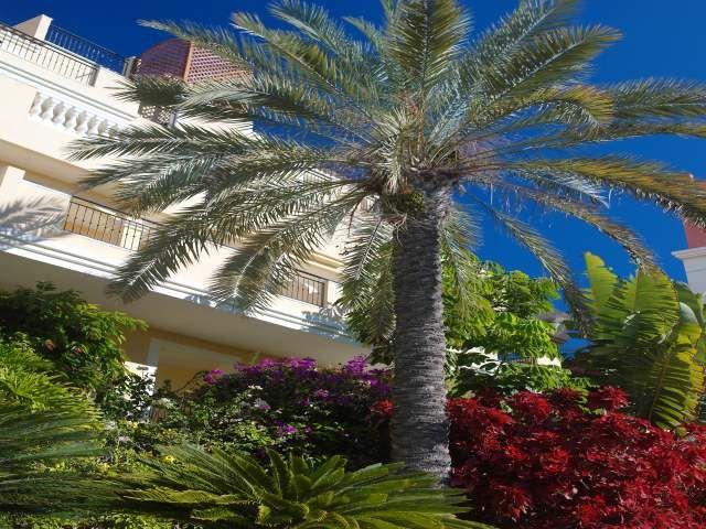 Granada Park Apartments (Granada park apartments hotel los cristianos, Granada park tenerife)