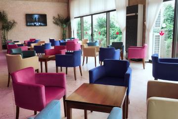 Отель Club Hotel Grand Efe (Ozdere) Турция, Гюмюлдур, фото 36