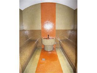 Zdravets Hotel Wellness & SPA