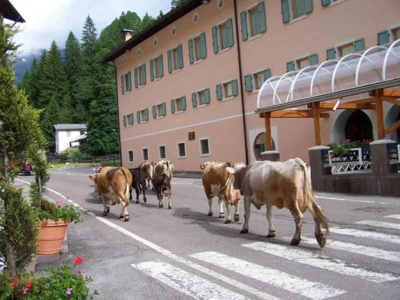 Grand Hotel Rabbi
