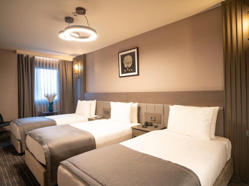 Arts Hotel Taksim