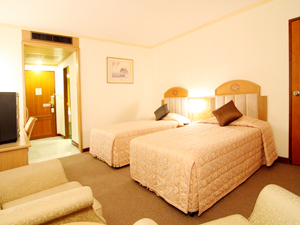 Grand Tower Inn VI