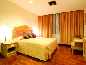 Grand Tower Inn VI