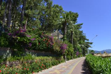 Отель Grand Yazici Club Marmaris Palace Турция, Мармарис, фото 39