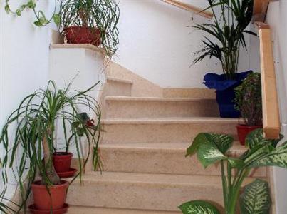 Grazia Sperlonga