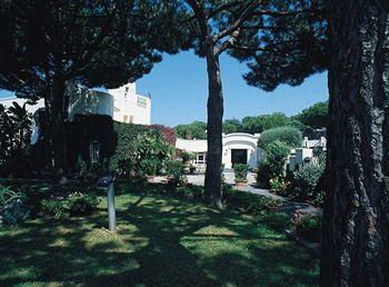 Grazia Terme