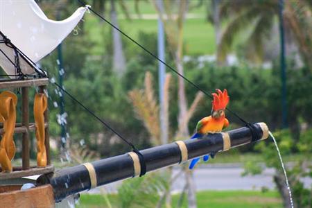 Seadust Cancun Family Resort