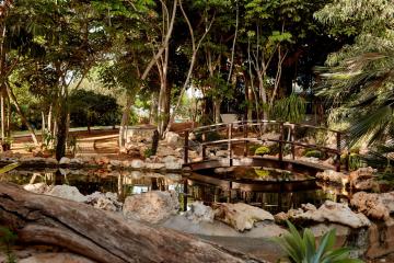 Отель Grecian Bay Hotel Кипр, Айя-Напа, фото 43