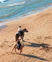 Отель Grecotel Ilia Palms Греция, Пелопоннес, фото 10
