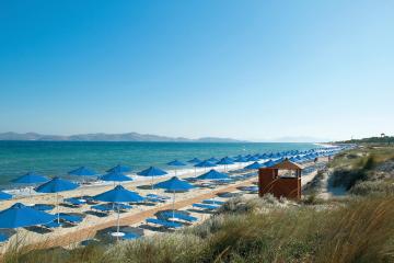 Отель Grecotel Casa Paradiso Греция, о Кос, фото 24