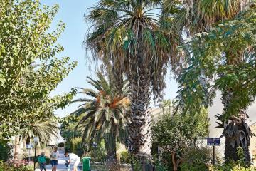Отель Grecotel Casa Paradiso Греция, о Кос, фото 26