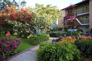 Отель Gypsophila Holiday Village Турция, Окурджалар, фото 26