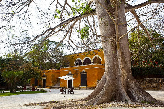 Hacienda Uayamon